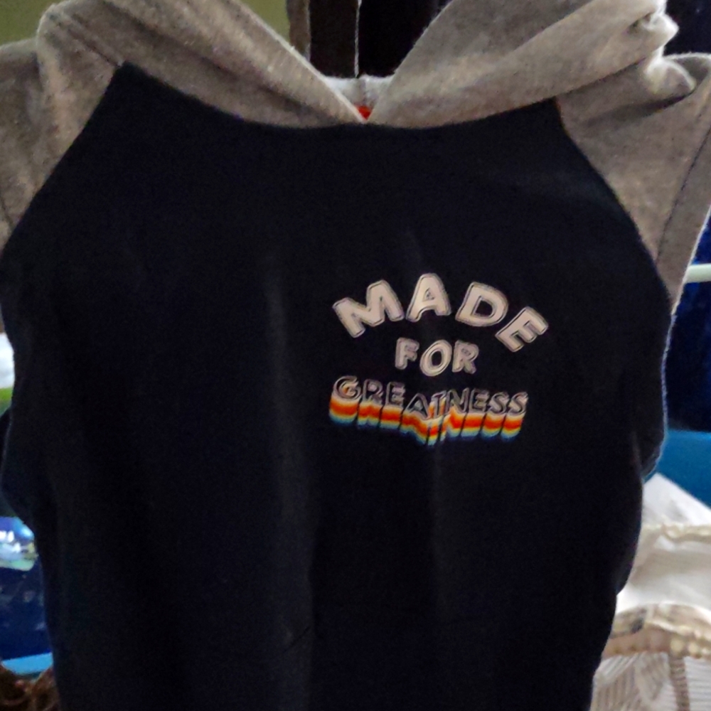 Boys sleeveless hoodie never worn size 6 cute with eyes on the hoodie